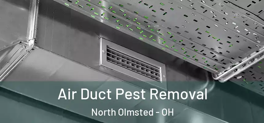 Air Duct Pest Removal North Olmsted - OH