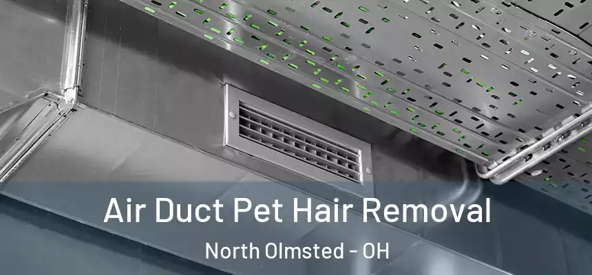  Air Duct Pet Hair Removal North Olmsted - OH