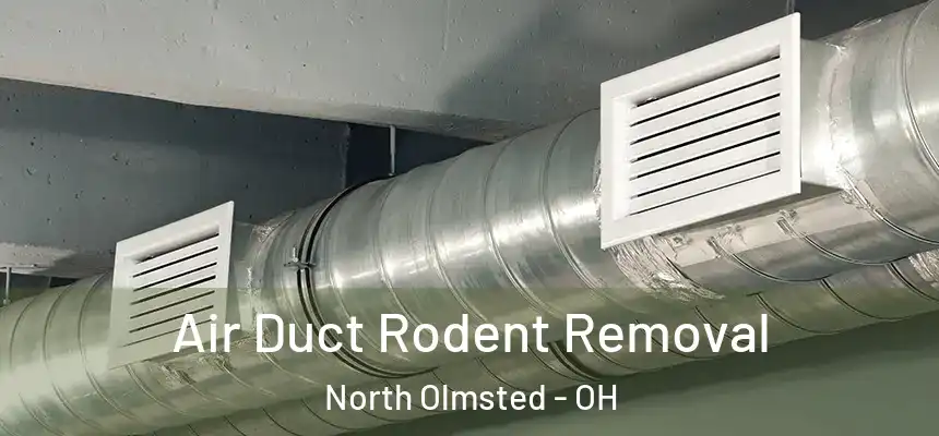 Air Duct Rodent Removal North Olmsted - OH
