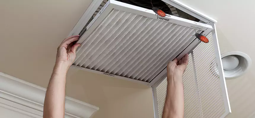 Preventive Cockroach-Proofing for Ducts in North Olmsted