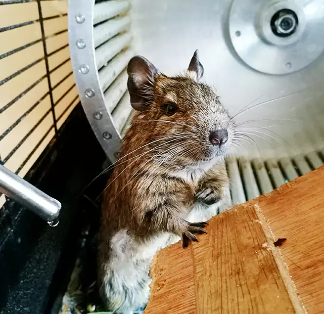 Why Homeowners & Businesses Trust Us North Olmsted, OH?